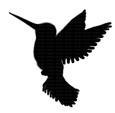 bird shilouette - PNG gratuit