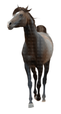 horse katrin - gratis png