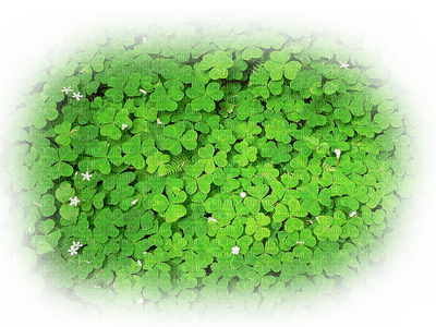 St. Patrick´s Day - 免费PNG