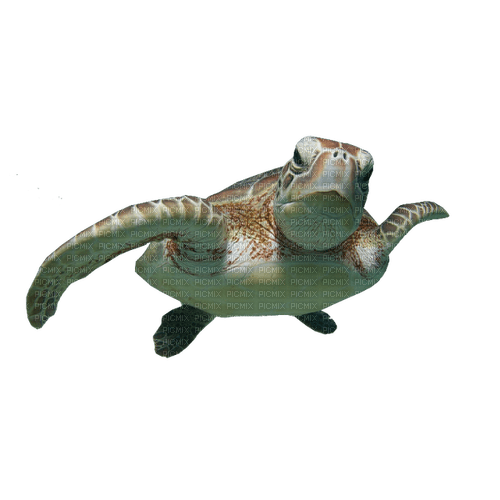 kikkapink deco scrap sea turtle - png gratuito