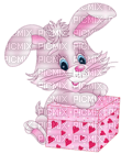 Bunny - png gratuito