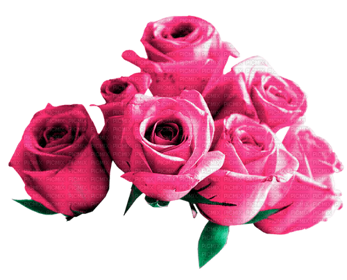 Roses.Pink - nemokama png