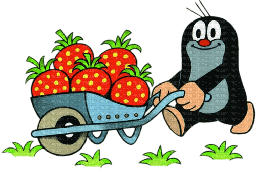 krtek strawberrys - Free PNG