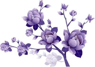 Kaz_Creations Flowers Deco Flower Colours - kostenlos png
