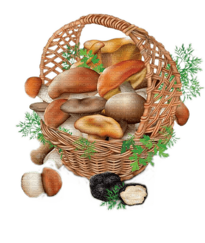 Herbst, Korb, Pilze, Fall - безплатен png