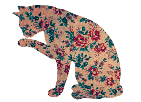 pattern cat by laughingtillweredead - Ücretsiz animasyonlu GIF