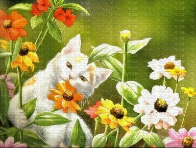 Kaz_Creations Backgrounds Background Flowers  Cat - PNG gratuit