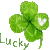 lucky clover - GIF animado gratis