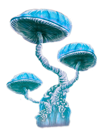 mushroom  by nataliplus - zadarmo png