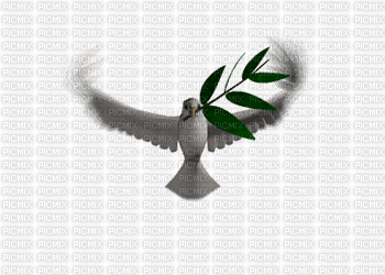 pace - Darmowy animowany GIF