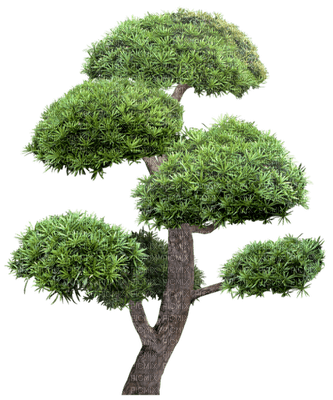 Kaz_Creations Trees Tree - безплатен png