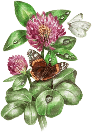 soave deco branch flowers butterfly  pink green - безплатен png