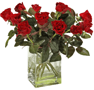 minou-red-roses- bukett röda rosor - Free PNG