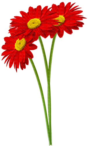 Flowers.Red - PNG gratuit