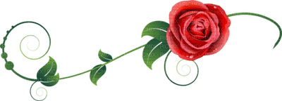 All My Roses - 免费PNG