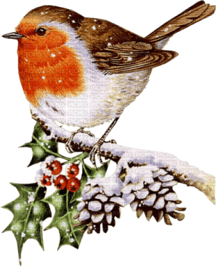 Christmas birds bp - png gratuito