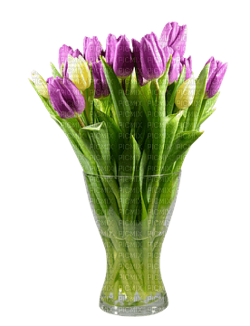 bouquet, kukkakimppu - zdarma png