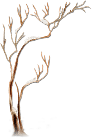 soave deco tree winter white brown - 無料png