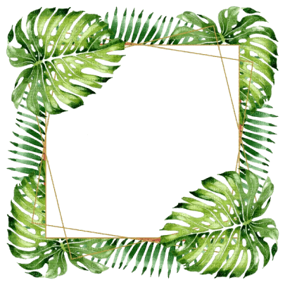 kikkapink frame tropical green summer - bezmaksas png