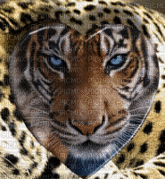 tigre - Gratis geanimeerde GIF