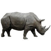 rhino - png ฟรี