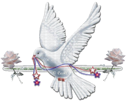 dove - 免费动画 GIF
