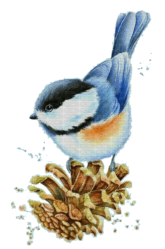 nbl-bird - 無料のアニメーション GIF