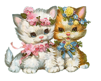 Chats Fleur sweet cats - PNG gratuit