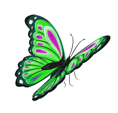 Kaz_Creations Butterflies Butterfly - kostenlos png