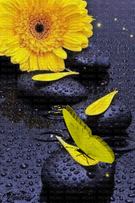 yellow - GIF animado gratis