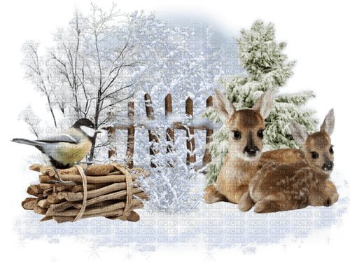 vinter--råfjur---winter--deer - nemokama png