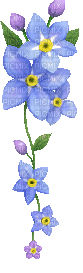 fleur bleue - Free animated GIF