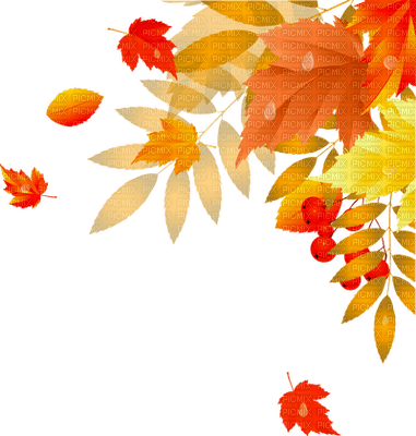 autumn deco by nataliplus - bezmaksas png