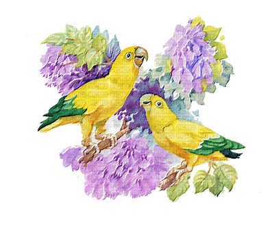 minou-bird-flower - 免费PNG
