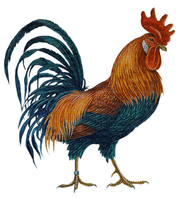Kaz_Creations Cute Bird Turkey Chicken - png gratis