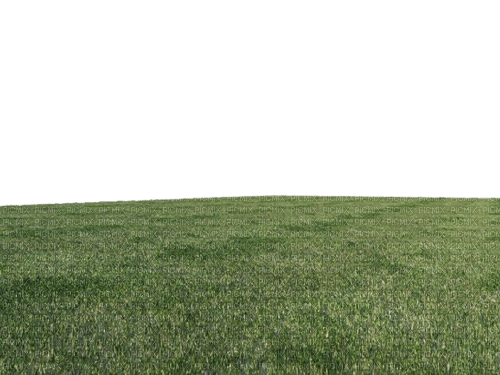 grass - png gratis