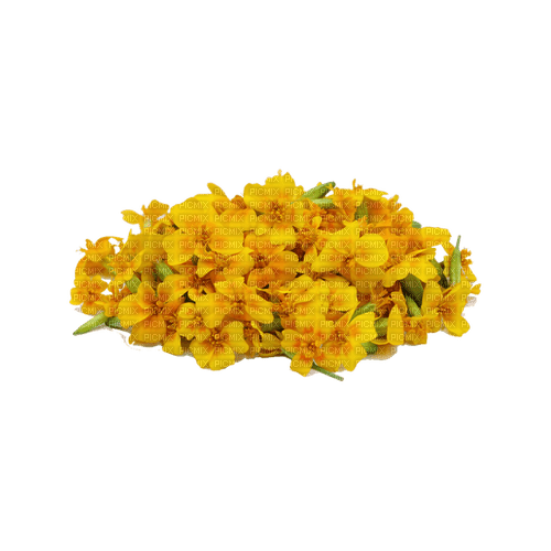 kikkapink deco scrap yellow flowers flower - ücretsiz png