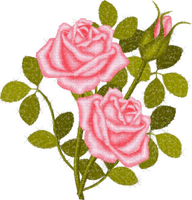 flowers katrin - Darmowy animowany GIF