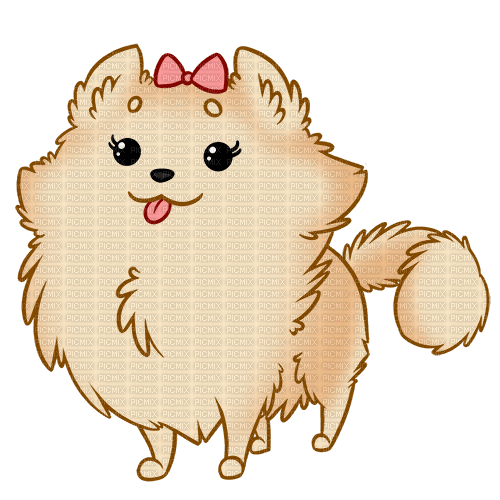 Pomeranian - GIF animado grátis