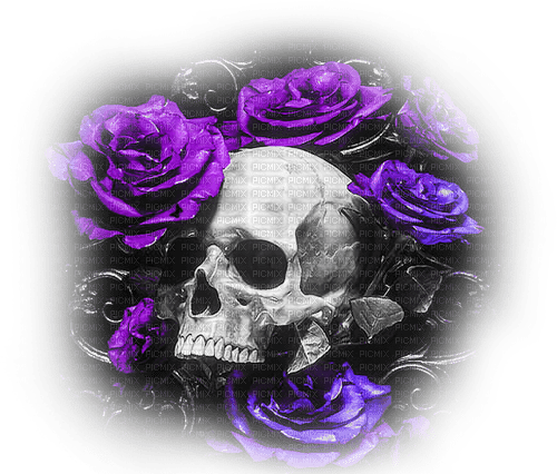 soave deco gothic skul flowers rose background - бесплатно png