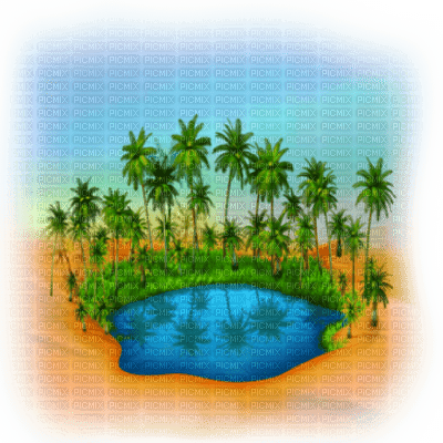 oasis - PNG gratuit