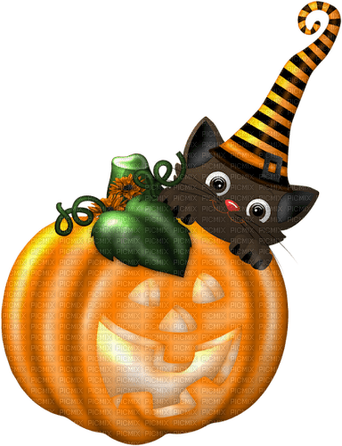 kikkapink halloween pumpkin cat - kostenlos png