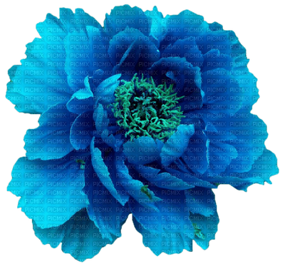 flor azul - zadarmo png