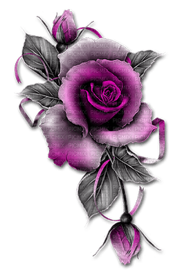 rose violette.Cheyenne63 - Free PNG