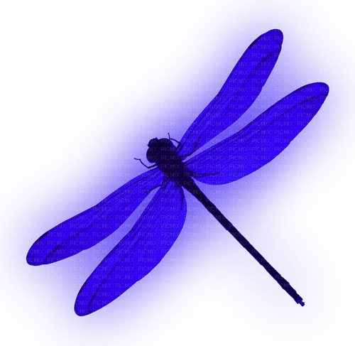 Dragonfly.Blue - 免费PNG