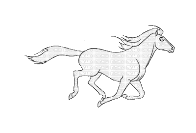 Horse - GIF animado gratis