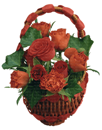 Flowers. Roses. Orange. Basket. Leila - фрее пнг