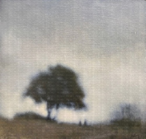 blurry tree background - бесплатно png