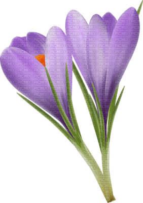 Kaz_Creations Deco Flowers Flower  Purple - darmowe png