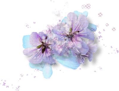 fleur violette.Cheyenne63 - PNG gratuit